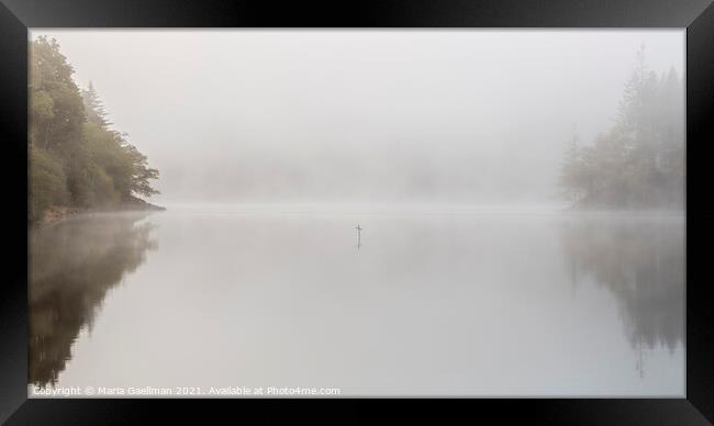 Loch Ard Cross on a Misty Morning Framed Print by Maria Gaellman