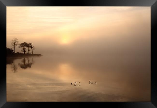 Loch Ard in Mist Framed Print by Maria Gaellman
