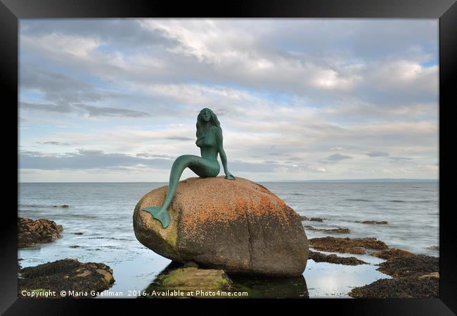 Mermaid of the North Framed Print by Maria Gaellman