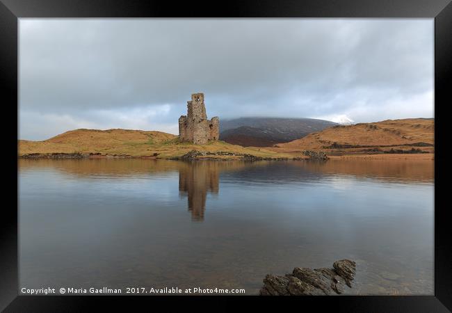 Ardvreck Castle reflecting in Loch Assynt Framed Print by Maria Gaellman