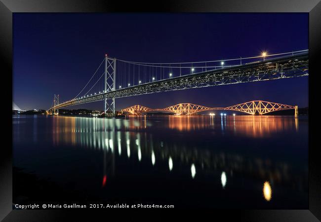 Scottish Steel in Silver and Gold lights at Night Framed Print by Maria Gaellman