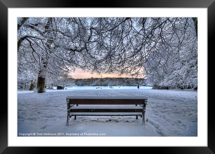Snow, Highgate Wood Framed Mounted Print by Tom Holbourn