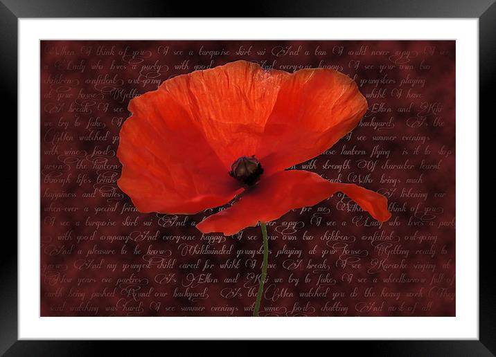 Red Poppy and Poem Framed Mounted Print by Daves Photography