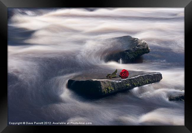 Love On The Rocks Framed Print by Daves Photography