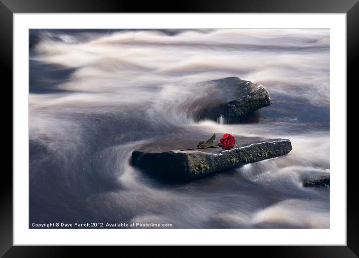 Love On The Rocks Framed Mounted Print by Daves Photography