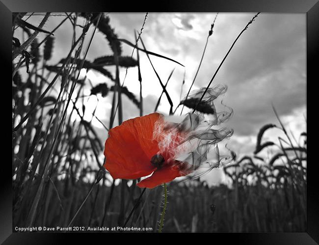 War Poppy - Burning Framed Print by Daves Photography