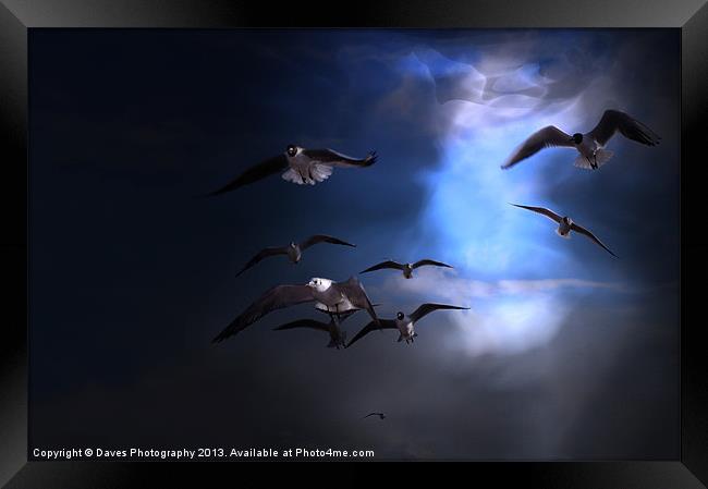 From The Heavens Framed Print by Daves Photography