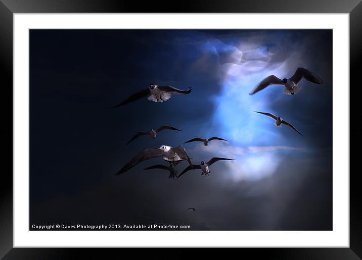 From The Heavens Framed Mounted Print by Daves Photography