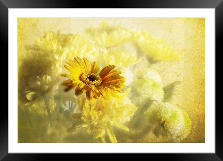 Flowers Framed Mounted Print by Daves Photography