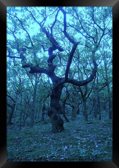 SCARY TREES Framed Print by Jacque Mckenzie