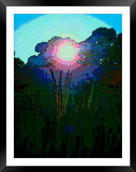 PINK SUNSHINE Framed Mounted Print by Jacque Mckenzie