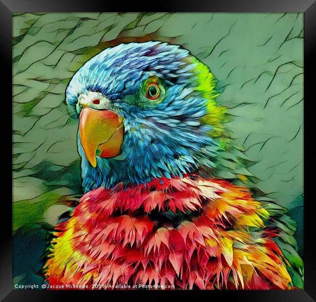 PRETTY POLLY PARROT Framed Print by Jacque Mckenzie