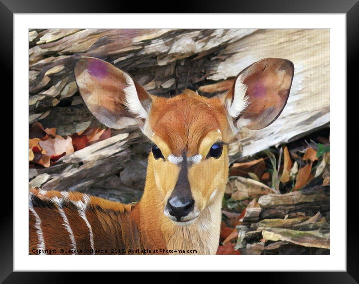 BAMBI Framed Mounted Print by Jacque Mckenzie