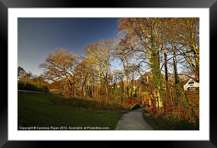 Emerging colours Framed Mounted Print by Sandeep Rajan