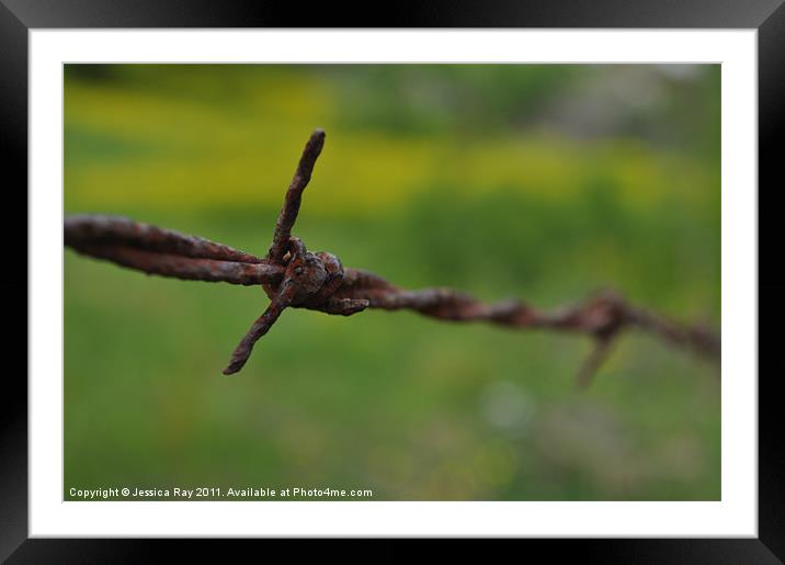 Barbed Wire Framed Mounted Print by Jessica Ray