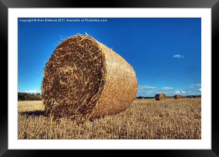 Harvest Framed Mounted Print by Glen Birkbeck