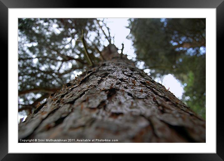 Vertical Limit Framed Mounted Print by Wood Stocker