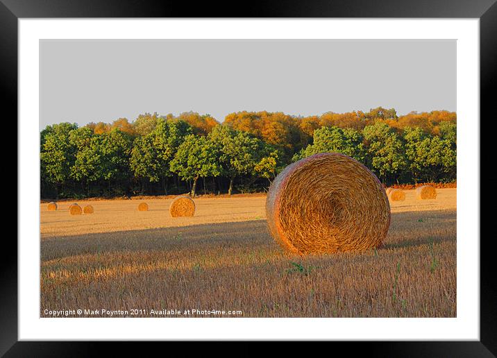 Hay Bales Framed Mounted Print by Mark Poynton