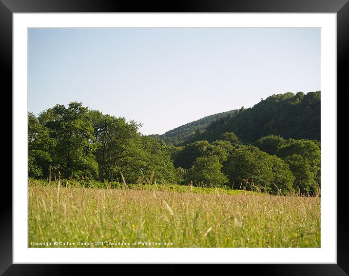 Summer Meadow Framed Mounted Print by Callum Cooper