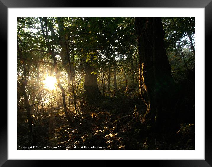 Early Morning Sun Framed Mounted Print by Callum Cooper