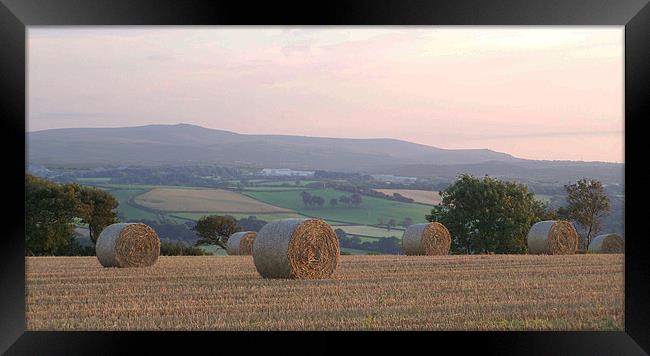 harvest time sunset Framed Print by Images of Devon