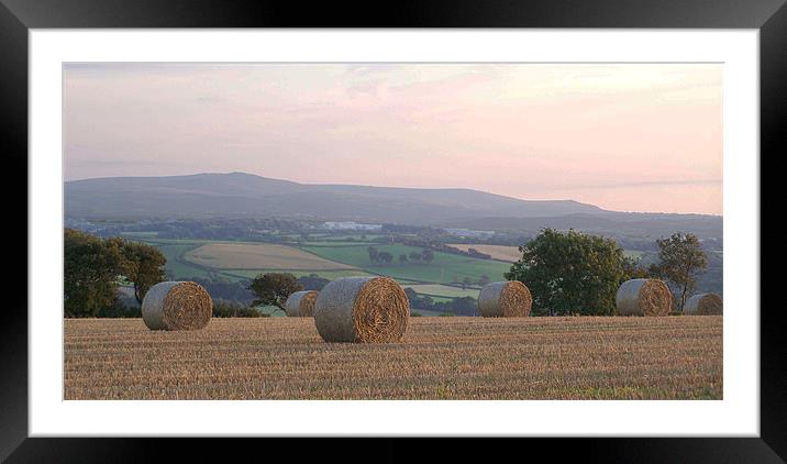 harvest time sunset Framed Mounted Print by Images of Devon