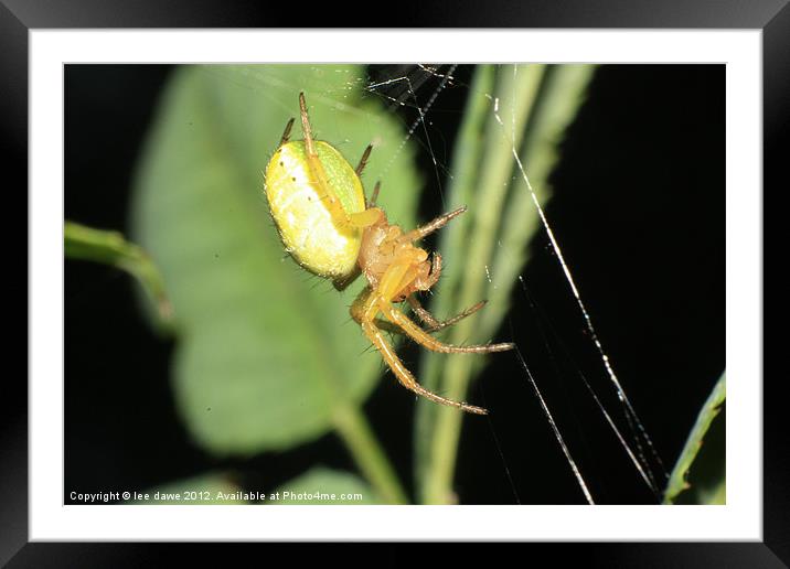 Lunch time yet? Framed Mounted Print by Images of Devon