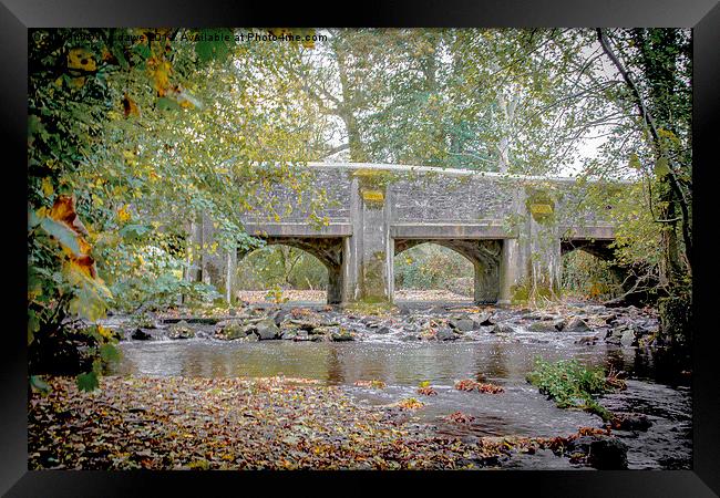  A bridge to nowhere Framed Print by Images of Devon