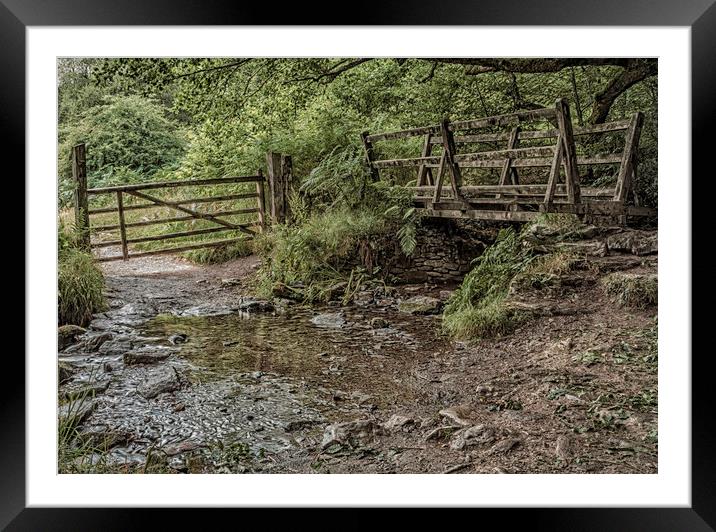 Country Tracks Framed Mounted Print by Images of Devon