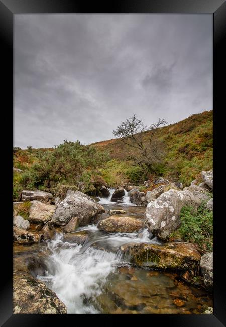 The River Lyd, Dartmoor Framed Print by Images of Devon