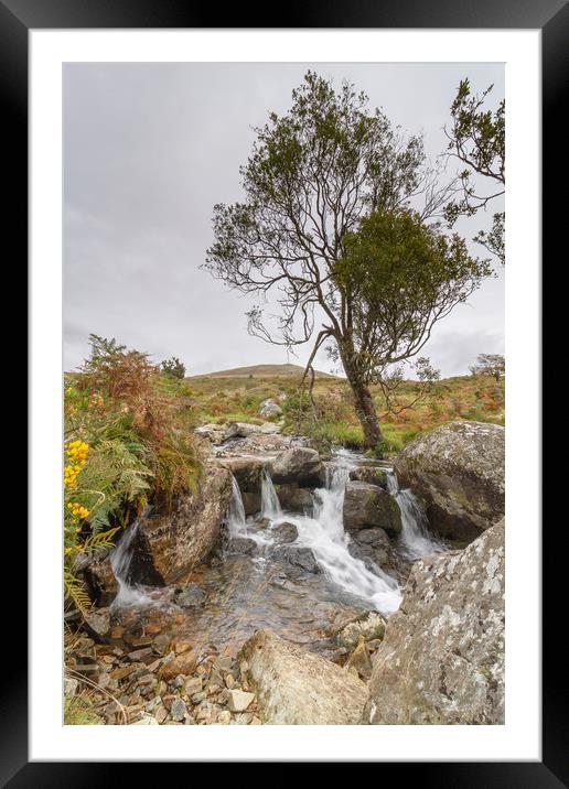River Lyd, Dartmoor National Park Framed Mounted Print by Images of Devon