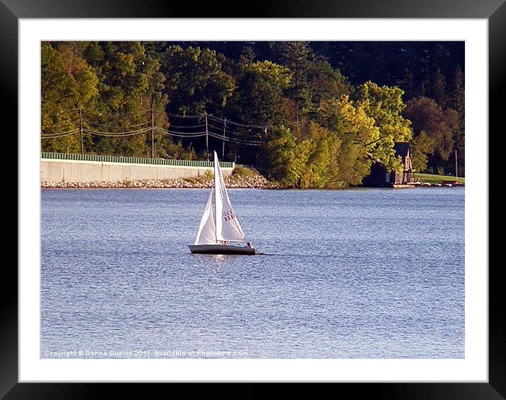 Lone sailor Framed Mounted Print by Donna Duclos