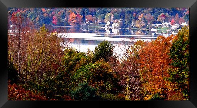 Change of Seasons Framed Print by Donna Duclos