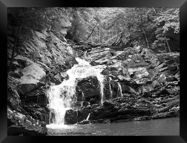 Wahconah Falls Framed Print by Donna Duclos