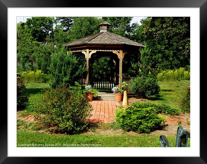 The Town Gazeebo Framed Mounted Print by Donna Duclos