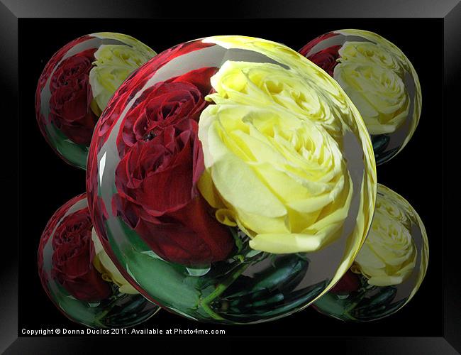 Rose Globes Framed Print by Donna Duclos