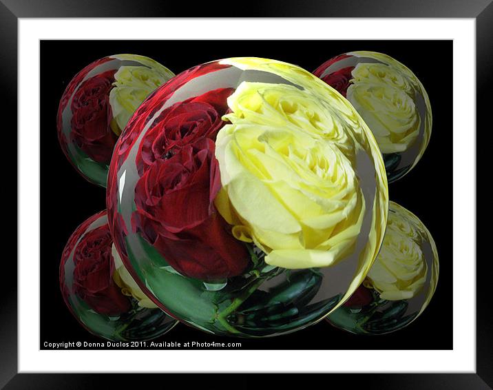 Rose Globes Framed Mounted Print by Donna Duclos