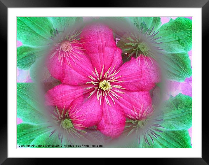 Flower illusion Framed Mounted Print by Donna Duclos