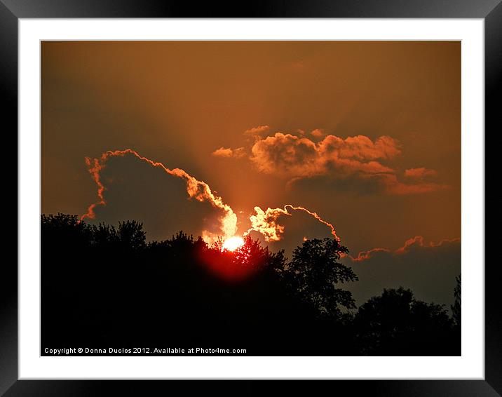 Sundown Framed Mounted Print by Donna Duclos