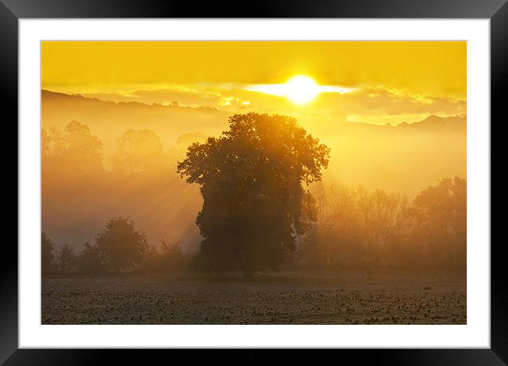 Eastnor Sunrise Framed Mounted Print by Ian Collins