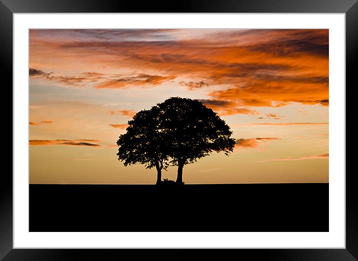 Sunrise Silhouette Framed Mounted Print by Ian Collins