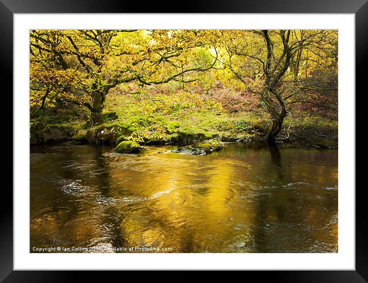 Elan Valley Autumn Framed Mounted Print by Ian Collins