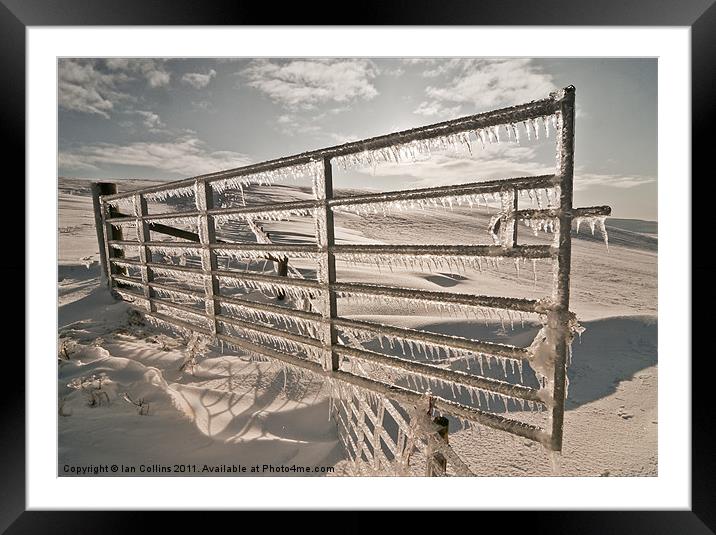 Frozen Framed Mounted Print by Ian Collins