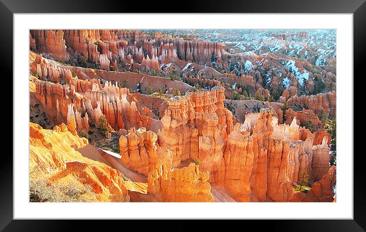 Bryce Canyon National Park Framed Mounted Print by Ian Collins