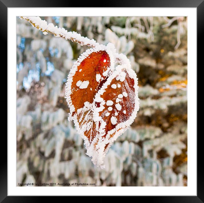 Frozen Heart Framed Mounted Print by Ian Collins
