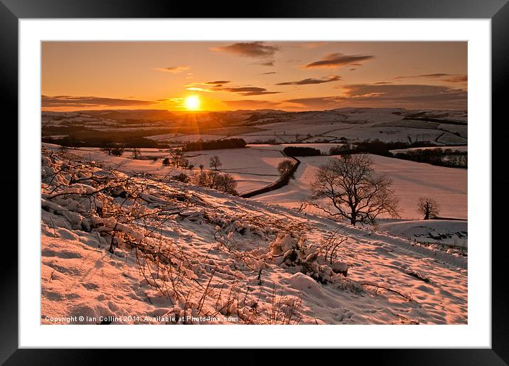 The Winter Sunset Framed Mounted Print by Ian Collins