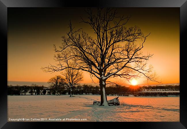Winter Sunset Framed Print by Ian Collins
