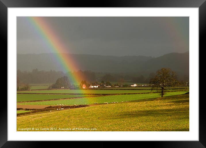 View through a Rainbow Framed Mounted Print by Ian Collins