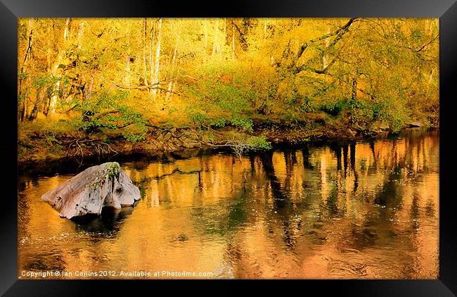Autumn Colour Reflections Framed Print by Ian Collins