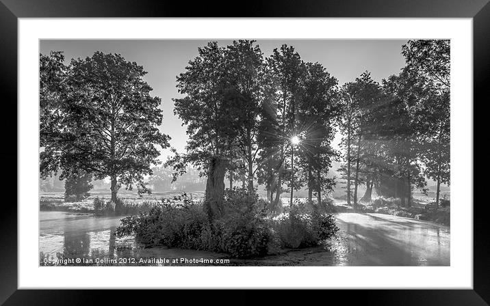Misty Lake Framed Mounted Print by Ian Collins